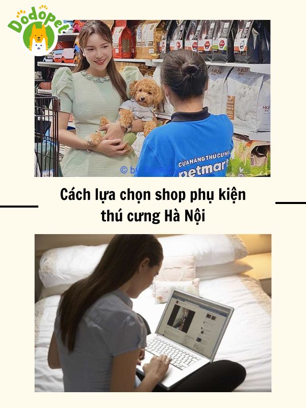 Top-10-shop-phụ-kiện-thú-cưng-Hà-Nội-chất-lượng-giá-rẻ-2