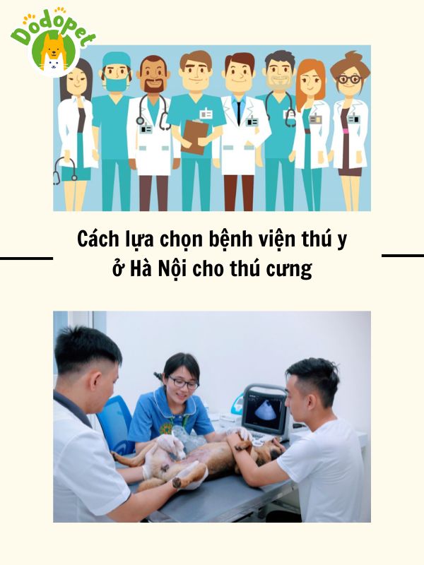 Top-10-bệnh-viện-thú-y-ở-Hà-Nội-uy-tín-nhất-1