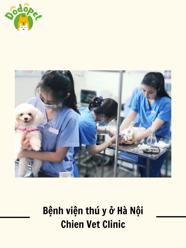 Top-10-bệnh-viện-thú-y-ở-Hà-Nội-uy-tín-nhất-12