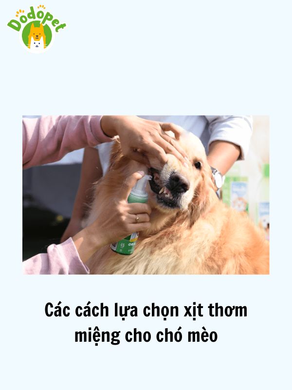 Top-các-nước-xịt-thơm-miệng-cho-chó-mèo-hiệu-quả-thơm-lâu-3