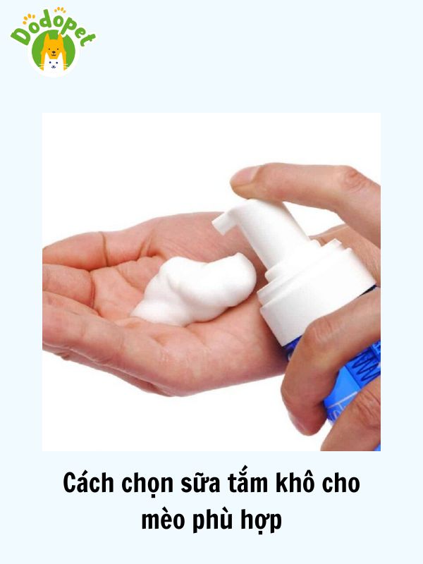 Các-loại-sữa-tắm-khô-cho-mèo-tốt-nhất-và-cách-sử-dụng-3