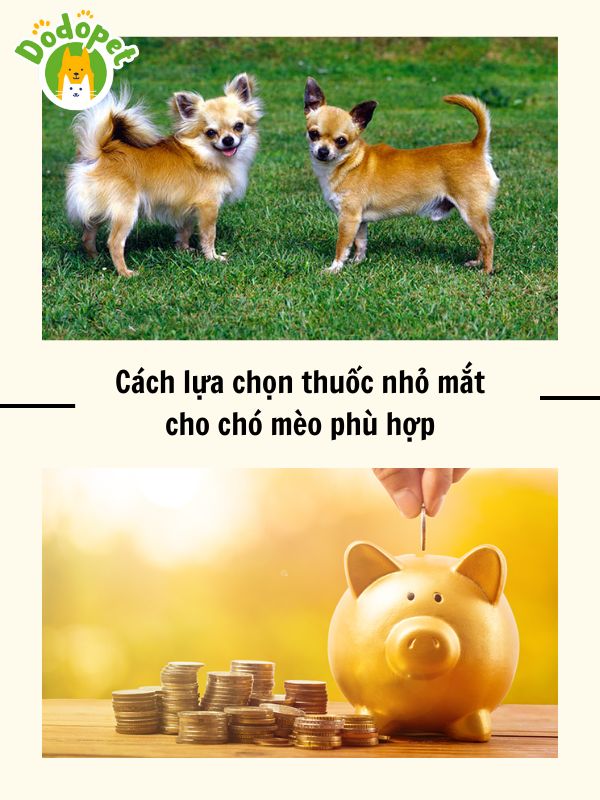 Top-10-loại-thuốc-nhỏ-mắt-cho-chó-mèo-tốt-nhất-hiện-nay-3