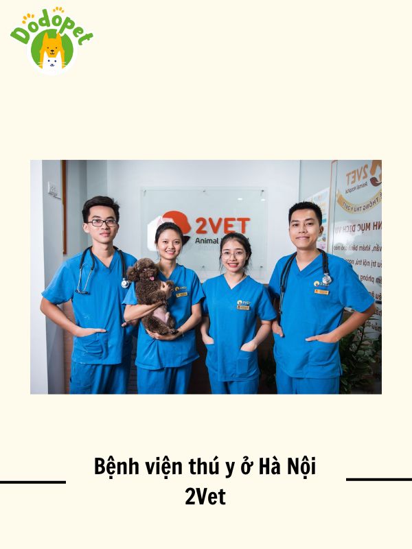 Top-10-bệnh-viện-thú-y-ở-Hà-Nội-uy-tín-nhất-4