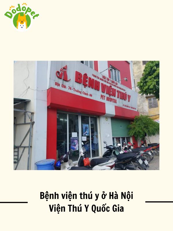 Top-10-bệnh-viện-thú-y-ở-Hà-Nội-uy-tín-nhất-5