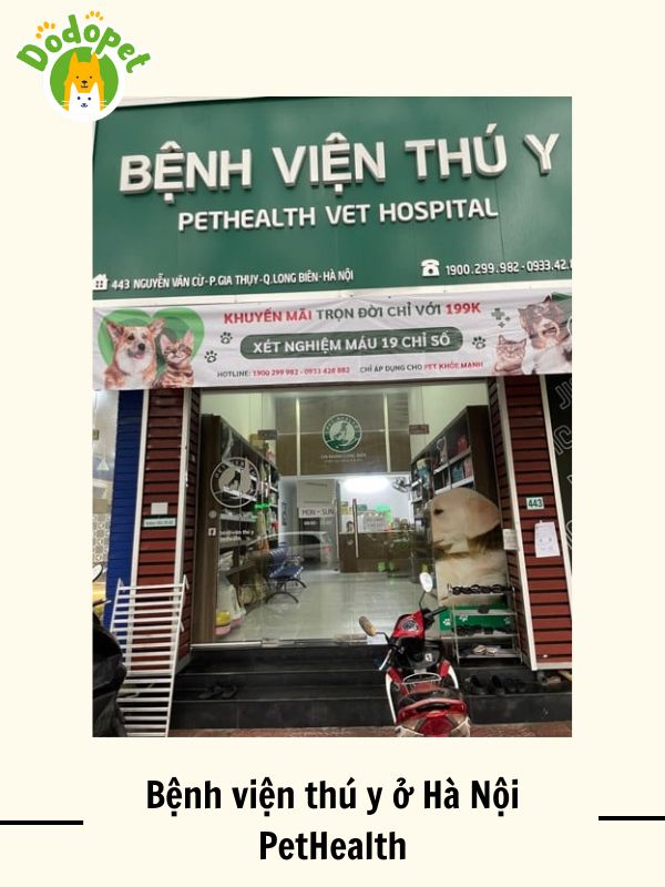 Top-10-bệnh-viện-thú-y-ở-Hà-Nội-uy-tín-nhất-6