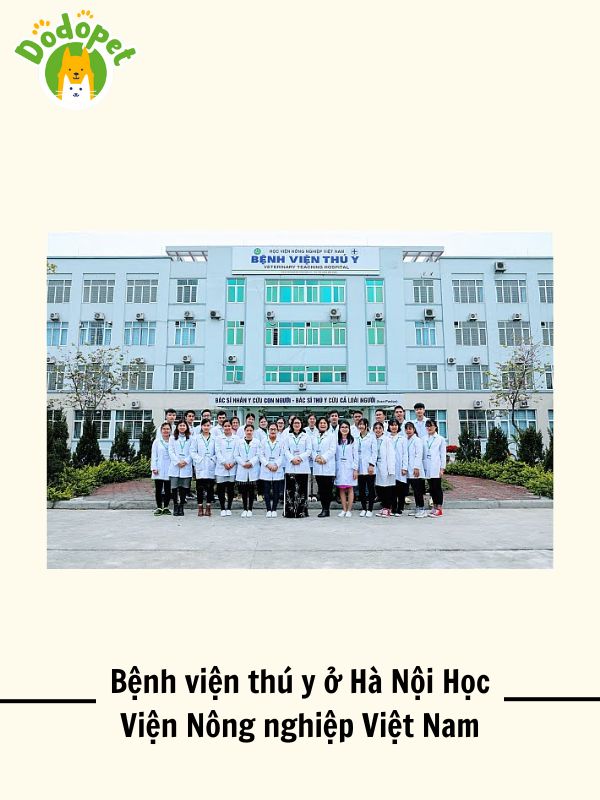 Top-10-bệnh-viện-thú-y-ở-Hà-Nội-uy-tín-nhất-7