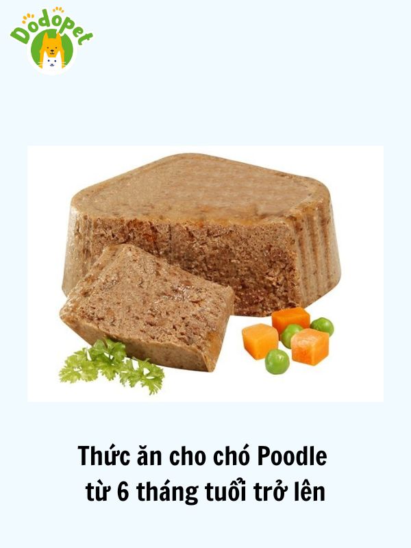 Các-loại-thức-ăn-cho-chó-Poodle-dinh-dưỡng-có-chất-lượng-tốt-8