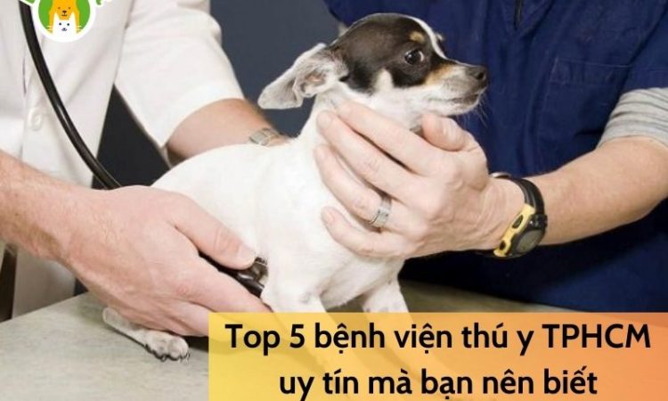 Top-5-bệnh-viện-thú-y-TPHCM-uy-tín-mà-bạn-nên-biết-1