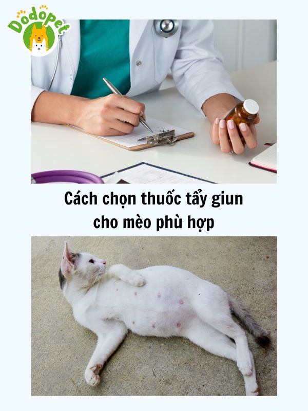 Các-loại-thuốc-tẩy-giun-cho-mèo-hiệu-quả-3